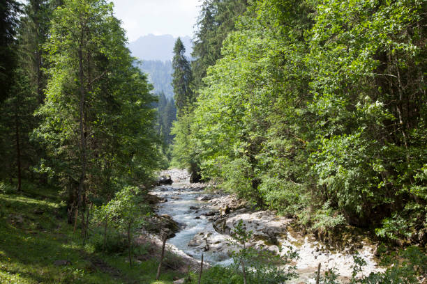 istock Schoenenbach in Austria 2185893853
