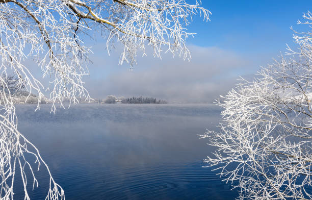 Snow and ice covered trees at Lake Schliersee