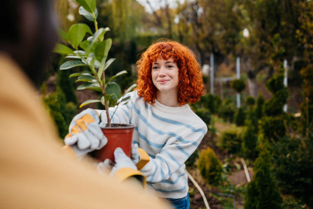 istock Our hothouse is amazing 2185894942