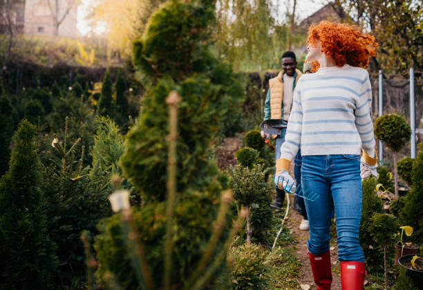 istock Our hothouse is amazing 2185894959