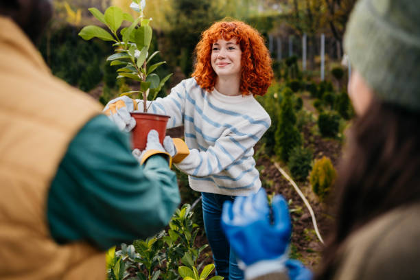 istock Our nursery garden 2185894962