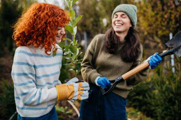 istock Our hothouse is amazing 2185894963