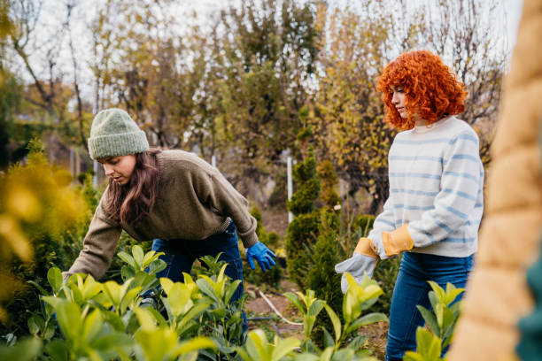 istock Our nursery garden 2185894975