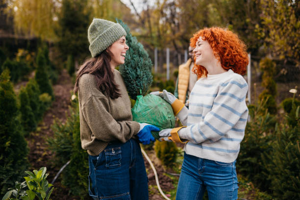 istock Our hothouse is amazing 2185895033