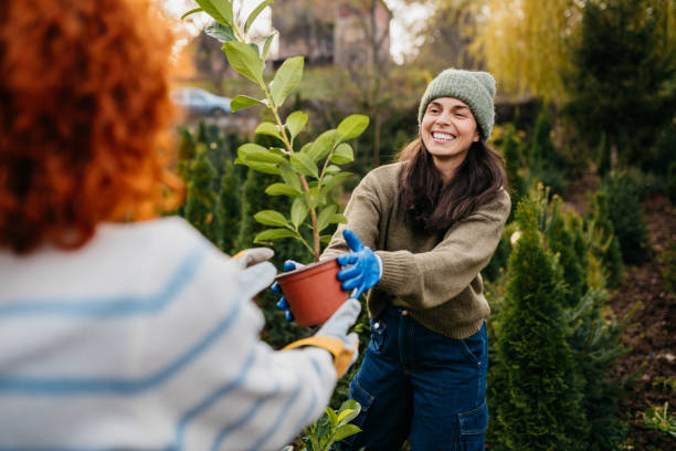 istock Volunteers in a formal garden 2185895225