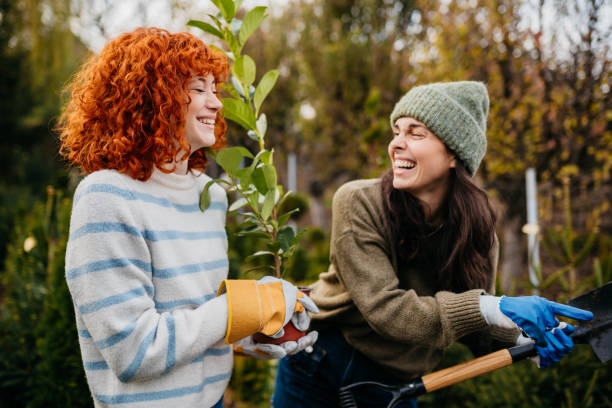 istock Hot house full of plants 2185895230