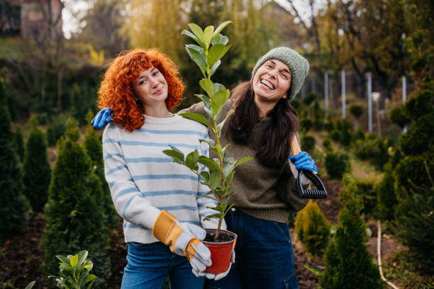 istock Hot house full of plants 2185895242