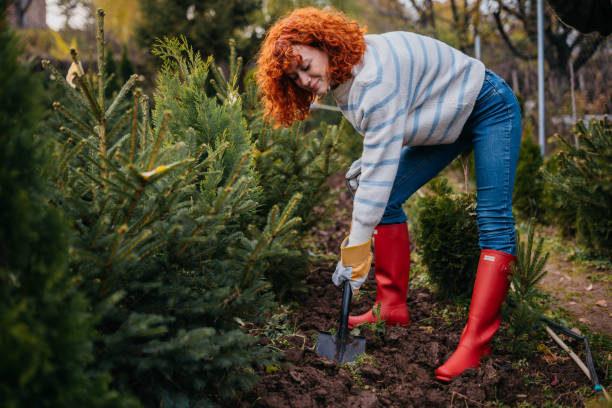 istock Planting in a garden center 2185895248