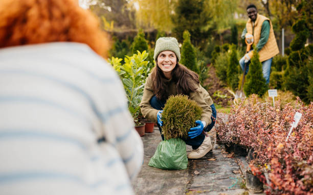 istock Hot house full of plants 2185895250