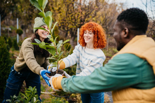 istock Volunteers in a formal garden 2185895257