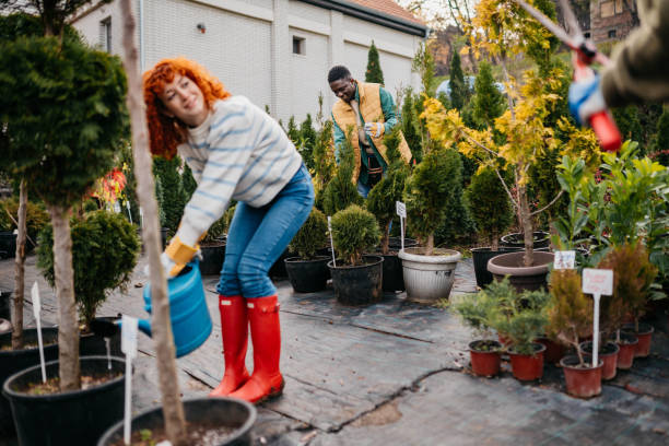 istock Our plants are perfect 2185895397
