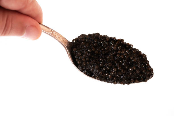 Silver spoon filled with black sturgeon caviar