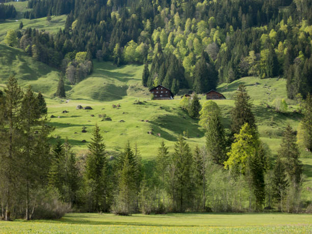 istock Schoenenbach in Austria 2185898039