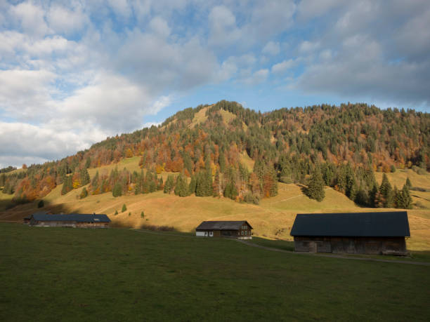 istock Schoenenbach in Austria 2185898280
