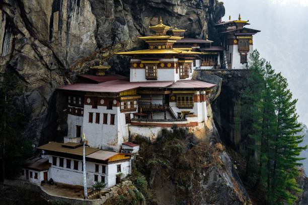 A breathtaking view of the iconic Tiger's Nest Monastery (Paro Taktsang) clinging to the cliffs of the Himalayas in Bhutan. Surrounded by lush green forests, this sacred Buddhist site is one of the most famous landmarks in the country, offering a serene and spiritual atmosphere amid dramatic natural beauty.
