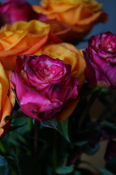 A bouquet of orange and pink roses, perfect for any celebration or romantic moment. Bright and fresh flowers that add beauty to any interior.