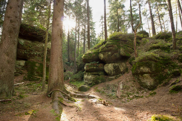 istock picturesque rocks in the forest 2185901884
