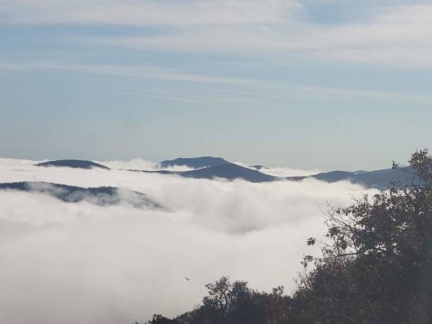 Misty mountain