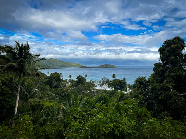 istock Rain forest, Taveuni Island, Fiji 2185904611