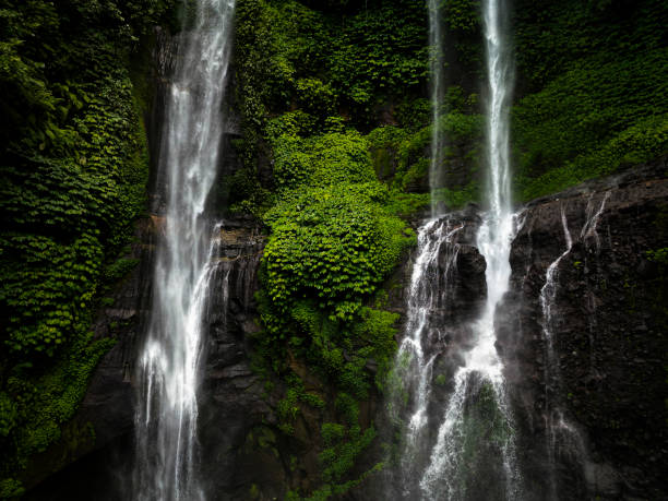 Bali, Indonesia, is home to some of the most breathtaking waterfalls, nestled in lush jungles and offering an unforgettable experience. Tegenungan Waterfall, near Ubud, is one of the most popular, known for its accessibility and stunning cascades. Surrounded by greenery, it's perfect for swimming or photography.\n\nFor those seeking adventure, Sekumpul Waterfall in northern Bali is often hailed as the island's most beautiful. It features multiple cascades plunging down verdant cliffs, accessible via a scenic trek through rice terraces and jungle paths.\n\nAnother gem is Gitgit Waterfall, located near Singaraja. Its towering flow is easily reachable and surrounded by lush tropical flora. It's a tranquil escape into nature.\n\nThe hidden Banyumala Twin Waterfalls offer a serene and less crowded spot. The two side-by-side falls form a natural pool, perfect for a refreshing swim.\n\nFor something unique, visit Aling-Aling Waterfall, where adventure seekers can slide down the falls or leap into the pools below.\n\nEach waterfall has its charm, whether it’s the raw power of cascading water, the tranquility of the surroundings, or the thrill of exploration. Bali’s waterfalls are a must-visit for nature lovers and adventurers alike!