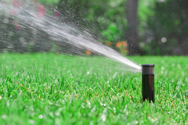 istock Sprinkler watering the lawn 2185905080