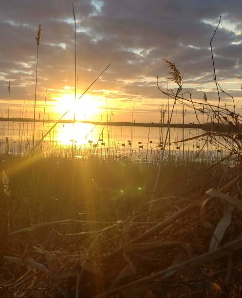 View from the duck blind