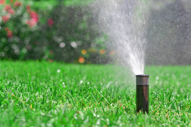 istock Sprinkler watering the lawn 2185908099