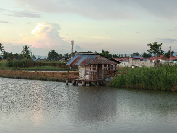 istock Landscape view of rice fields in Gorontalo, Indonesia 2185912471