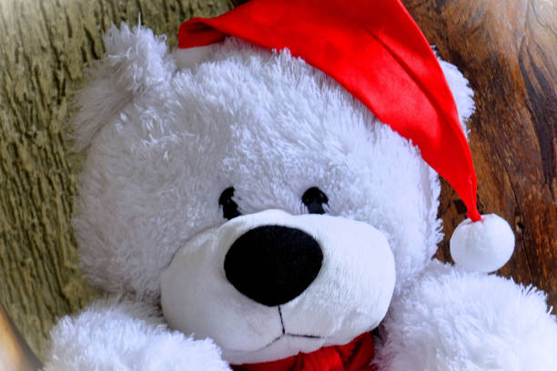 Plush Teddy Bear