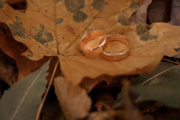 istock Elegant Wedding Rings Resting on Autumn Leaves 2185924826