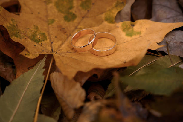 istock Elegantly Placed Wedding Rings on Autumn Leaves 2185924858