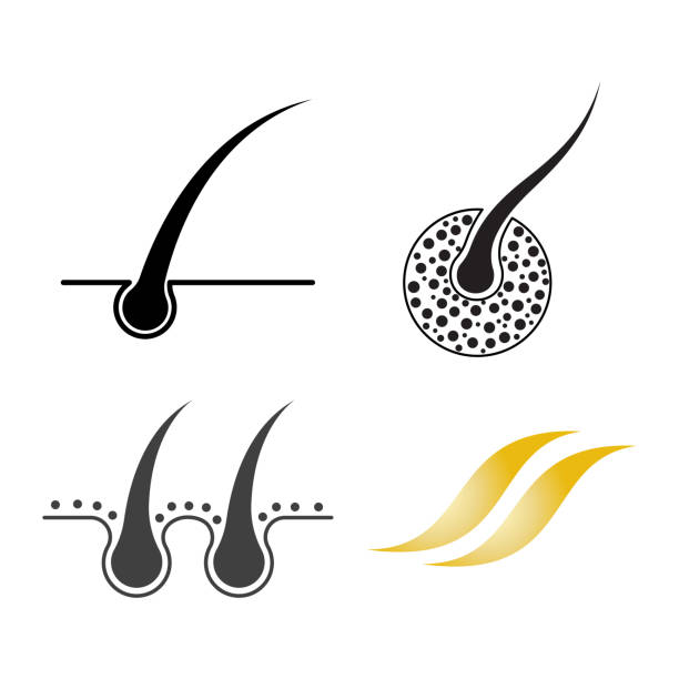 istock hair health care  logo 2185927124