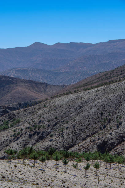istock Mountainous scenery of Morocco 2185929142