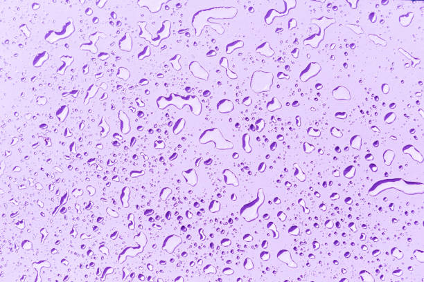 istock Water drops on purple background 2185931261
