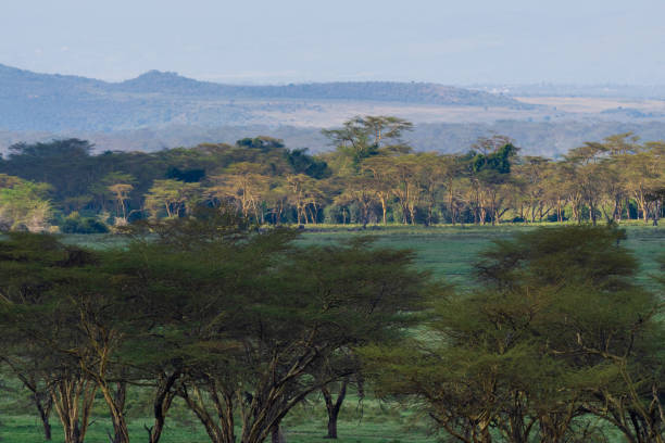 Lake Nakuru National Park Landscape