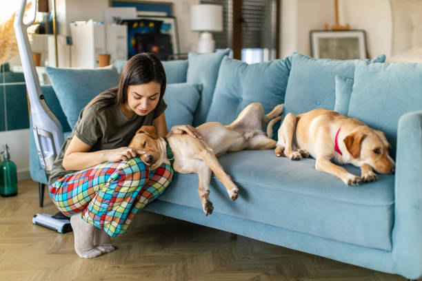 istock Young woman having relaxing time with her two dogs 2185942415