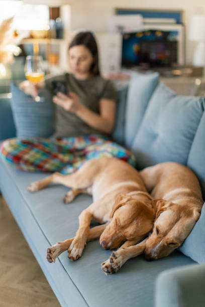 istock Young woman having relaxing time with her two dogs 2185942434