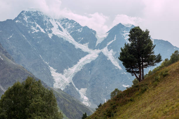 istock Mountain landscape with a hill and a lonely one tree on it 2185946215