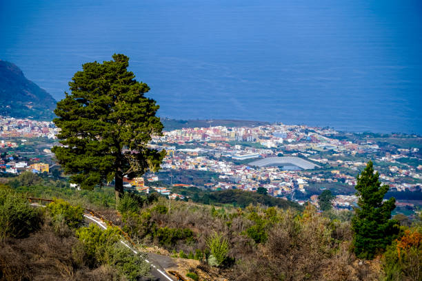 Panoramic view from a lookout point in Tenerife - Spain