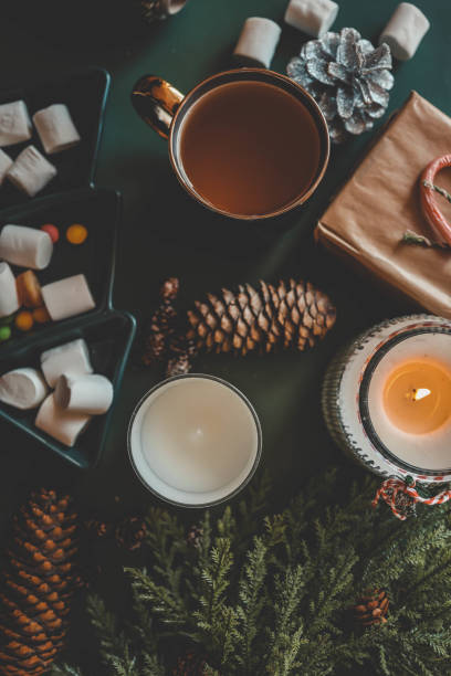 istock Cozy Christmas setup featuring a wrapped gift with a candy cane, a lit candle, tea, an open book, pinecones, marshmallows, and evergreen branches on a green background 2185949959