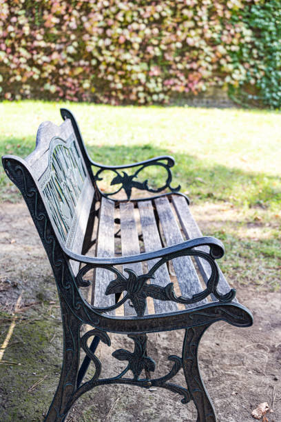 istock Park bench in the autumnal season 2185950066