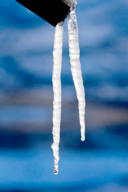 Icicle icicles hanging on Wood frozen during winter cold freezing water
