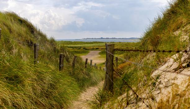 istock footpath through the dunes on the Ellenbogen Sylt 2185953545
