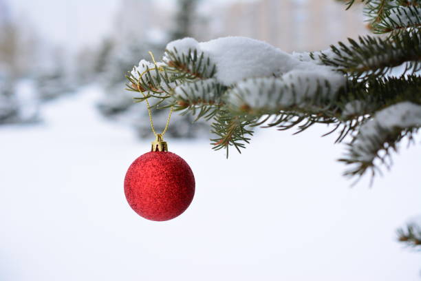 istock a red ornament hangs on a fir tree branch in the winter forest 2185955038