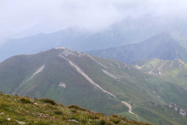 natural landscape with mountain view