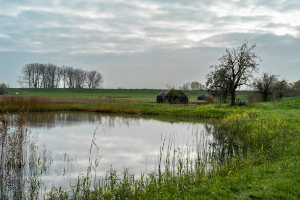 istock Historic bunkers at Schalkwijk, The Netherlands. 2185967579