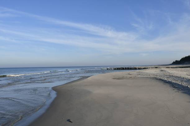 istock Serene beachscape with gentle waves and clear blue sky. 2185971908