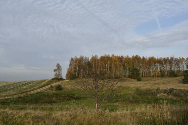 istock Scenic autumn landscape with a winding dirt road 2185971930