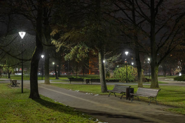 istock Night lantern lights in park in snowfall at night 2185973532