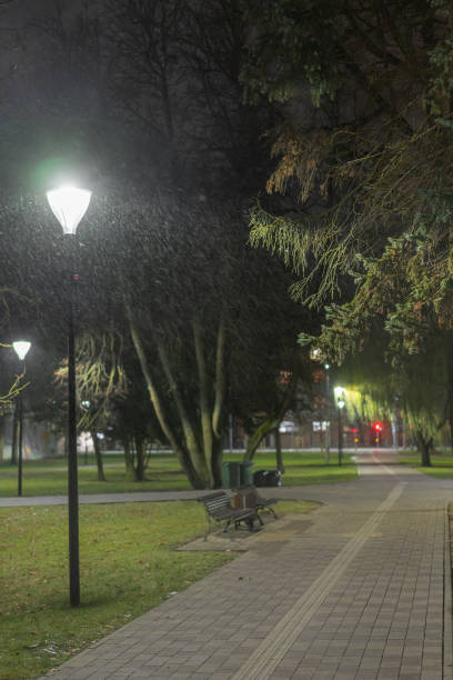 istock Night lantern lights in park in snowfall at night 2185973543